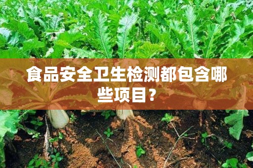 食品安全檢測(cè)哪些項(xiàng)目r8505.cn